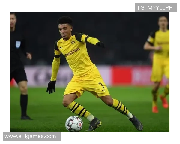 多特蒙德足球学校培养未来足球明星的成功之路与发展策略分析